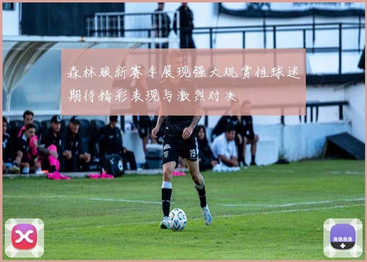 森林狼新赛季展现强大观赏性球迷期待精彩表现与激烈对决