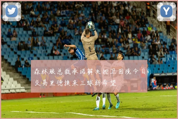 森林狼总裁承诺解决控卫困境今日交易里德换来三球新希望